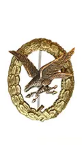 Luftwaffe Radio Operator & Air Gunner Badge - Germany