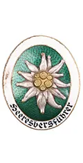 German Army Mountain Guide Badge – Germany
